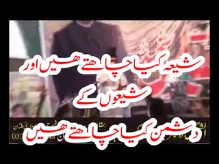 شیعہ کیا چاہتے ھیں اور شیعہ کے دشمن کیا چاہتے ھیں