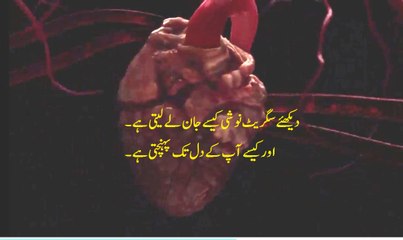 How Smoking Kills Our Body - Motivational Video