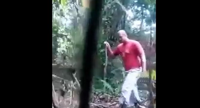 Un homme attaqué par un jaguar à Rio