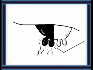 Sozash hewana Desi nuskhay Dr.Ashraf Sahibzada