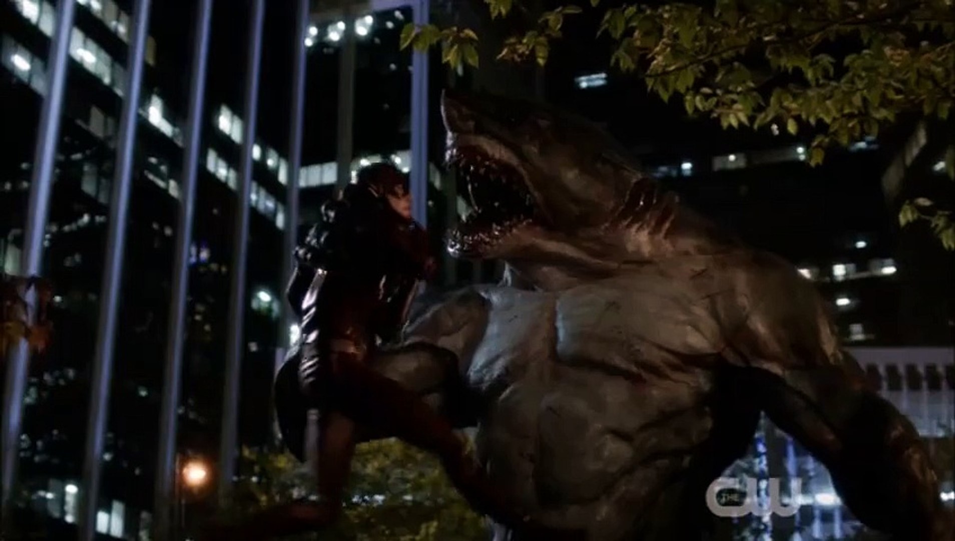 the flash