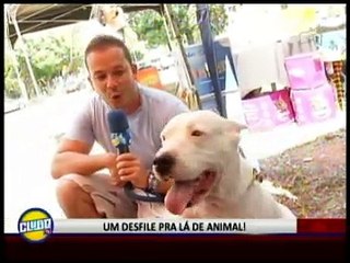 UM DESFILE PRA LÁ DE ANIMAL!