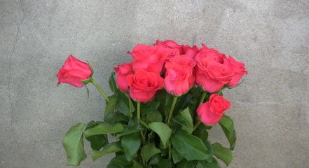 Сергей & Лиля, Роспись (13 Июня, 2015)