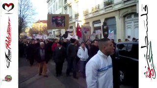 Manifestation contre les massacres israéliens à Gaza - Bourg-en-Bresse / France  17 janvier 2009