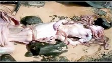 Русалка в наше время.
