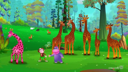 Finger Family Giraffe | ChuChu TV Animal Finger Family Nursery Rhymes Songs For Children
