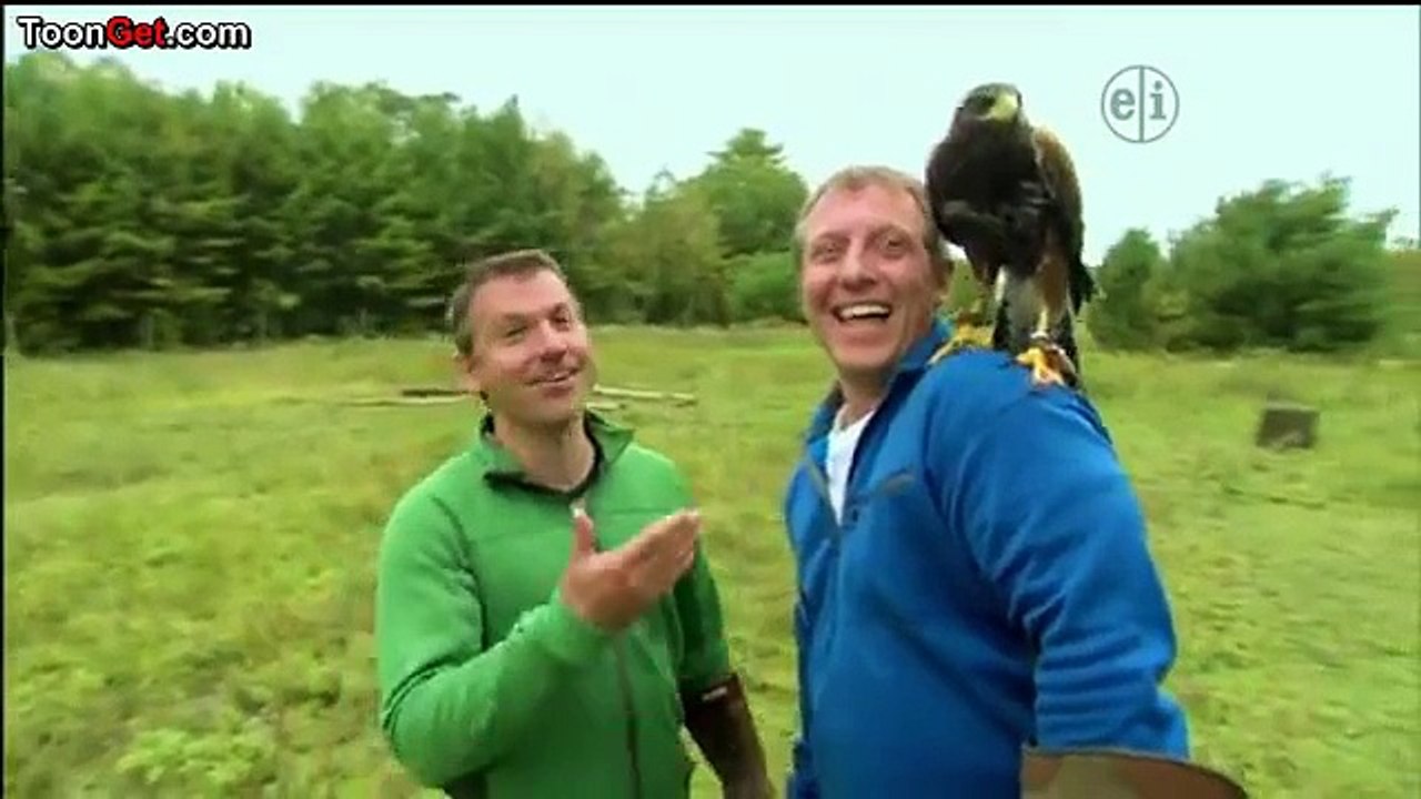 Wild Kratts Episode 40 [Full Episode] - Dailymotion Video