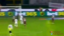 Diego Laxal Goal - FC Torino vs Genoa 1-1 Serie A 2015