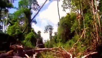 KORUBO- Morir matando - ¡Ahora en Alta Calidad! (Parte 4-6)