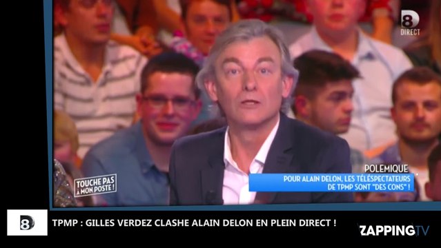TPMP : la réponse cinglante de Gilles Verdez à Alain Delon ! T’as jamais rien eu dans la pantalon
