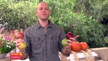 Apple Variety 101 with Kitchen Scientist Dan Kohler