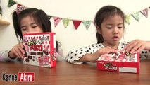 meiji 手作りアポロ　Meiji Tezukuri Apollo Chocolate Kit