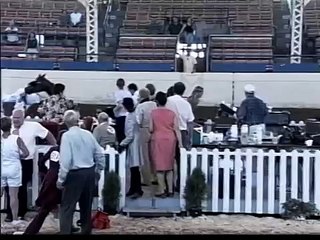 At gösterisiyle ortalığı birbirine kattı