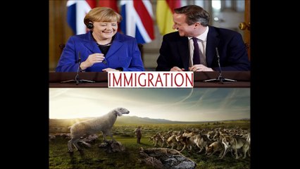 Europe's Immigration