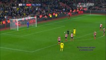 Southampton 2 - 1 Aston Villa All Goals and Full Highlights 28/10/2015 - Capital One Cup