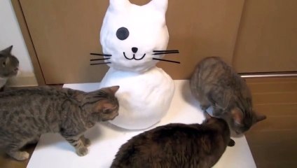 Снеговик распугал котов!