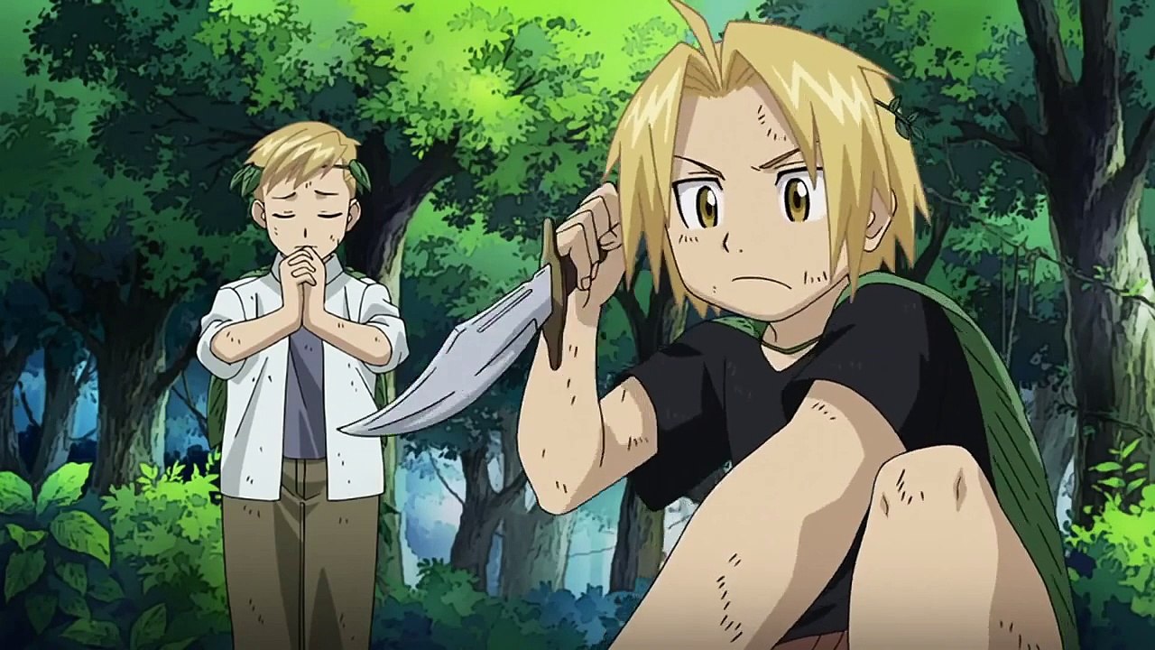 Fullmetal Alchemist Did You Know Anime?