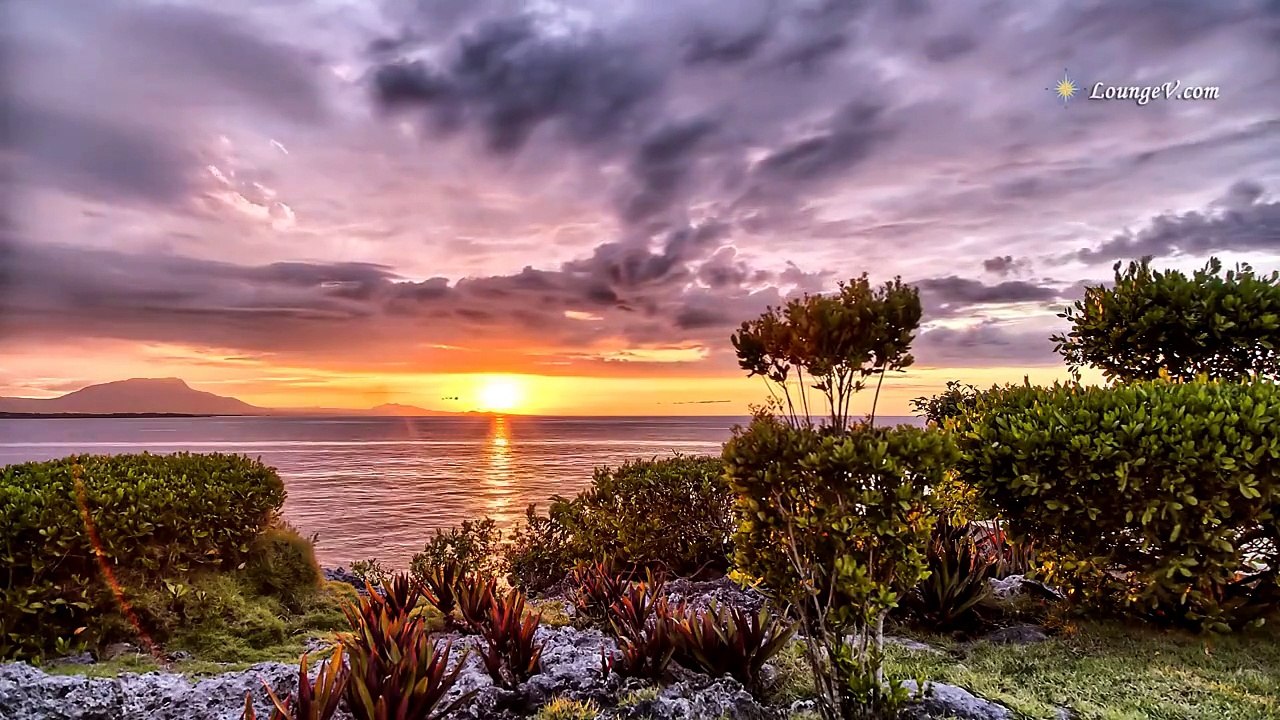 Quran|Ayat|al-Kursi-آية|الكرسي|مكررة|آخر|سورة|البقرة|بصوت|الشيخ|مشاري|بن|راشد|العفاسي|القرآن|الكريم