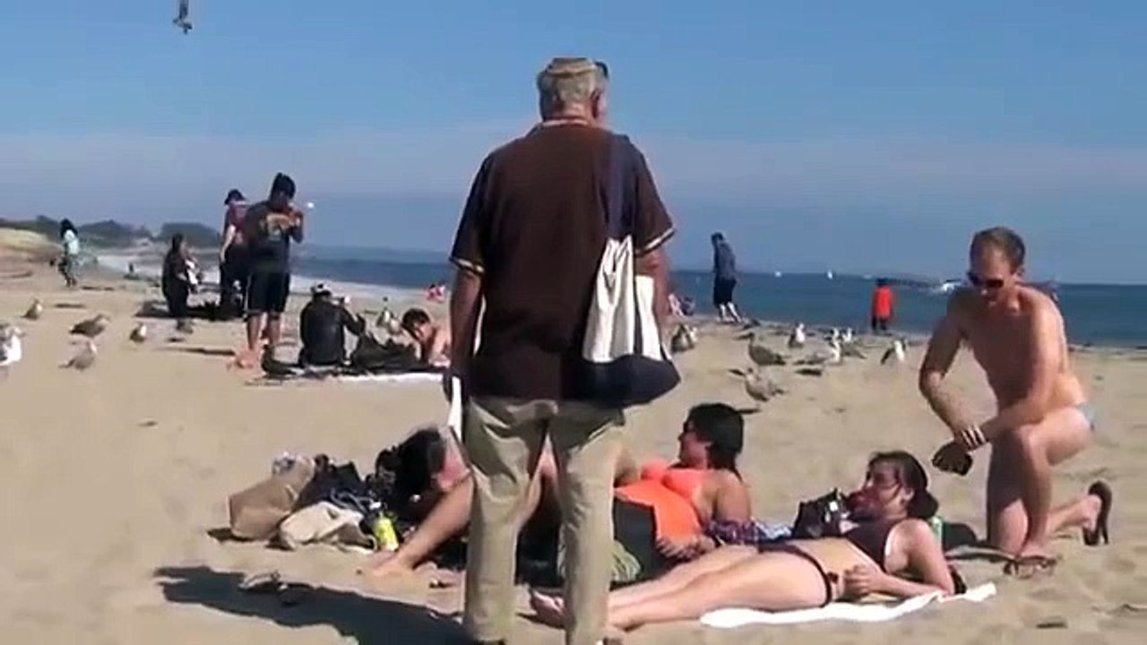 Find A Wife On The Beach! Public Prank How to Pickup Girls Funny Pranks 2014
