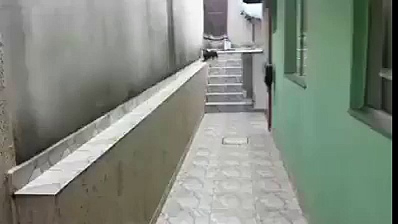 Now that's funny - Funny Videos