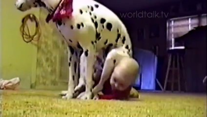 OMG! What is DOG doing with the KID ?