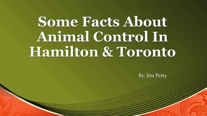 Some Facts About Animal Control