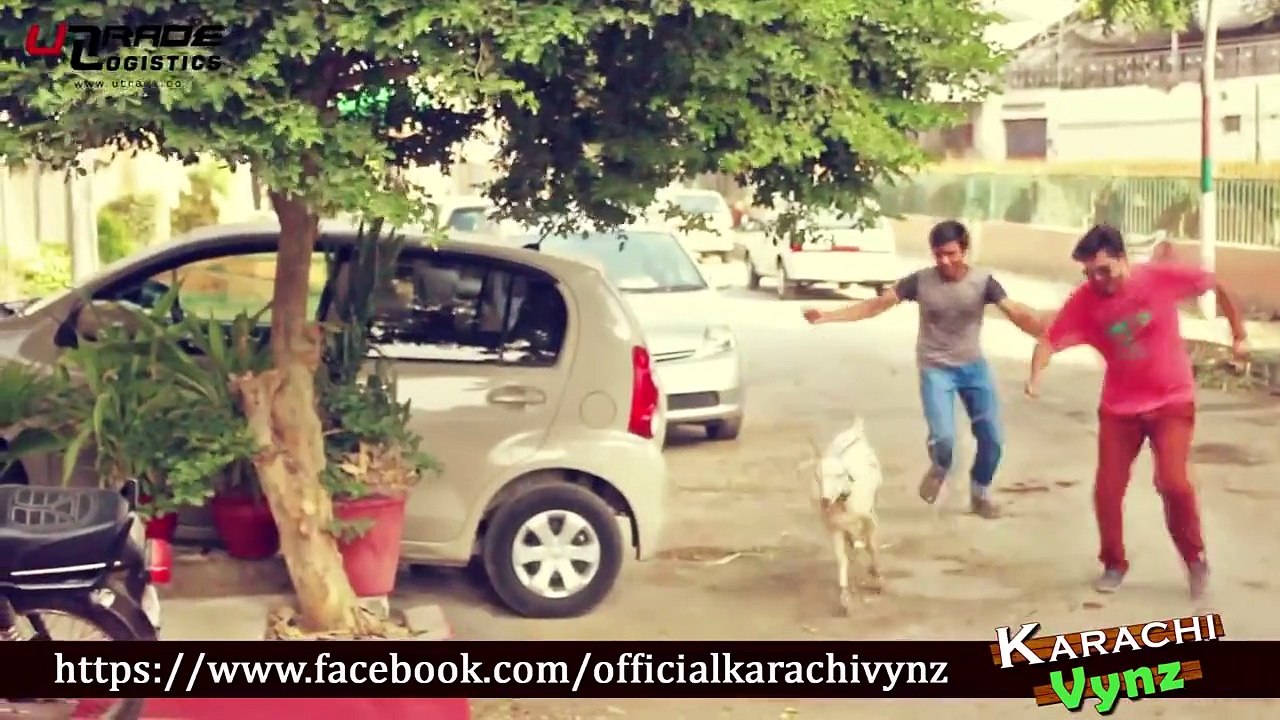 Things Not To Do On BAKRA EID - Karachi Vynz - Funz.lol