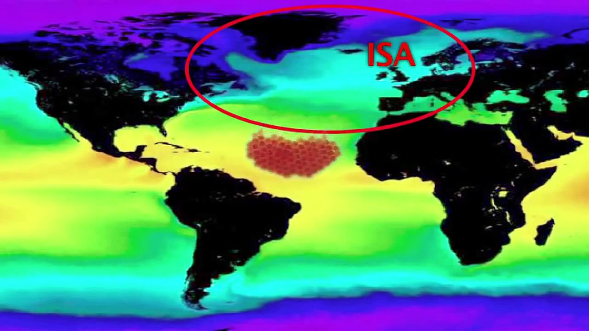 [HD Documentary] Salmon Confidential HD (Nature Documentary)