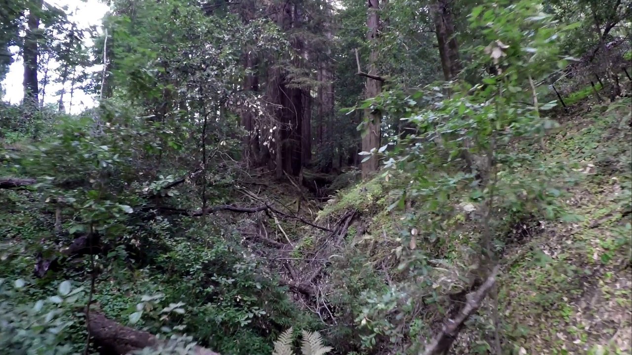 GoPro Sneak Peek of GoPro Quadcopter Footage