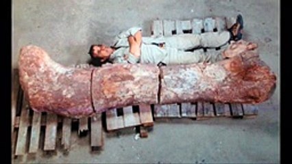 Giants Worlds Biggest Things You never seen These Things before... Amazing Video Must Watch Part 2