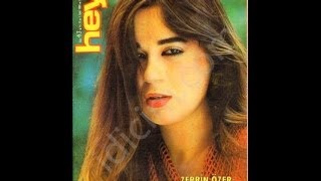 Zerrin Özer - Herşey seninle güzel ( Orijinal plak kayıt )