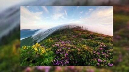 Affordable Iran Tour Packages | Iran Paradise