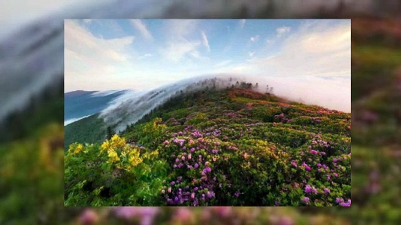 Affordable Iran Tour Packages | Iran Paradise