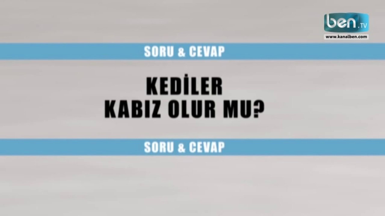 Kediler Kabız Olur mu?