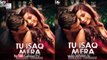 Tu Isaq Mera Official Song | Karan Singh Grover| Review