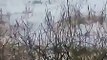 Heavy Snow Falling in Sohawa Pakistan