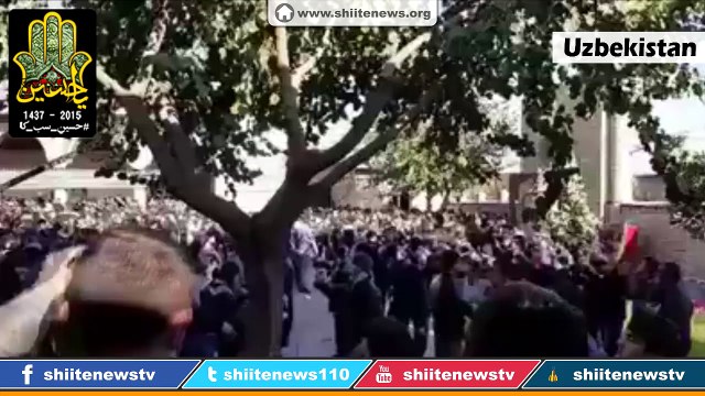 Ashura Procession 1437 / 2015 - Uzbekistan