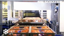 Warehouse Storage Picking System