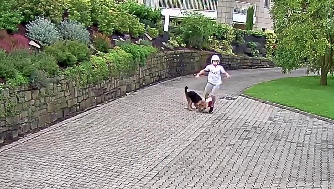 funny clips of the Week October 2015 amazing videos