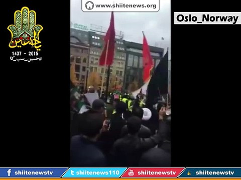 Ashura Procession 1437 / 2015 - Oslo, Norway
