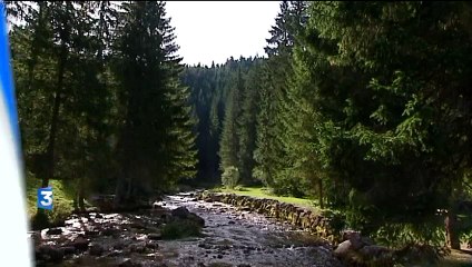 France 3 Loire - 28 octobre 2015