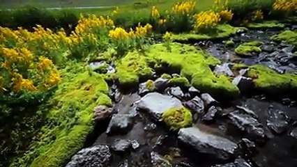 Deosai National Park Beautiful Astore Valley.