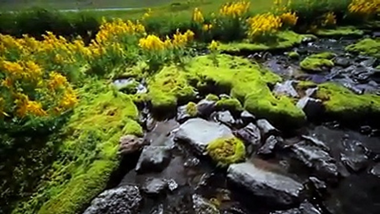 Deosai National Park Beautiful Astore Valley.