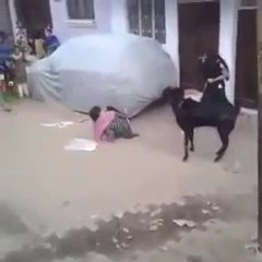 OMG....!  Funny clip of Bakra Attack On   Girls hahahaha....