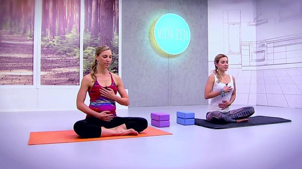 VIDA ZEN BLOQUE 3 PROGRAMA 28.mp4