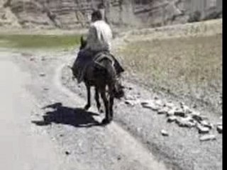 IKASSN SIDI AAMMR: Key Highlights