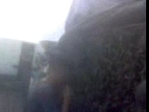 Sarkoval du 1er Mai 2007-Antrepofaz 2