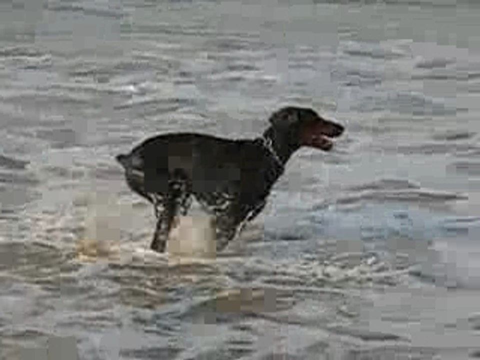 Jeu eau