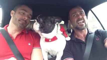 Un petit délire en voiture