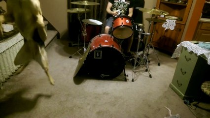 Пес-рокер: История легендарного рок-н-рольщика 🎸